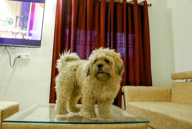 Tattva 2 Apartment พาราณสี ภายนอก รูปภาพ